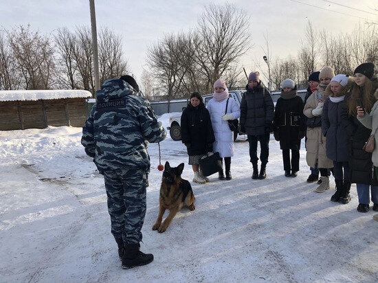     УМВД по Республике Марий Эл