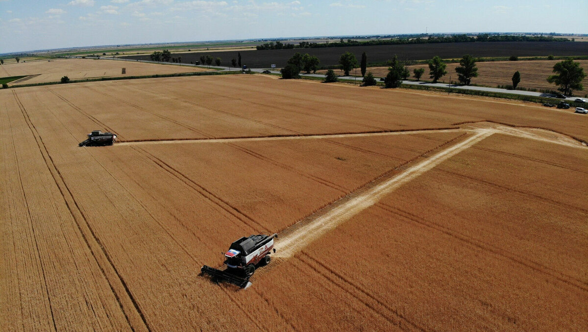     В Ростовской области рассматривается вопрос передачи сельхозпроизводителям лесополос для их возрождения, сообщили в Заксобрании региона.
