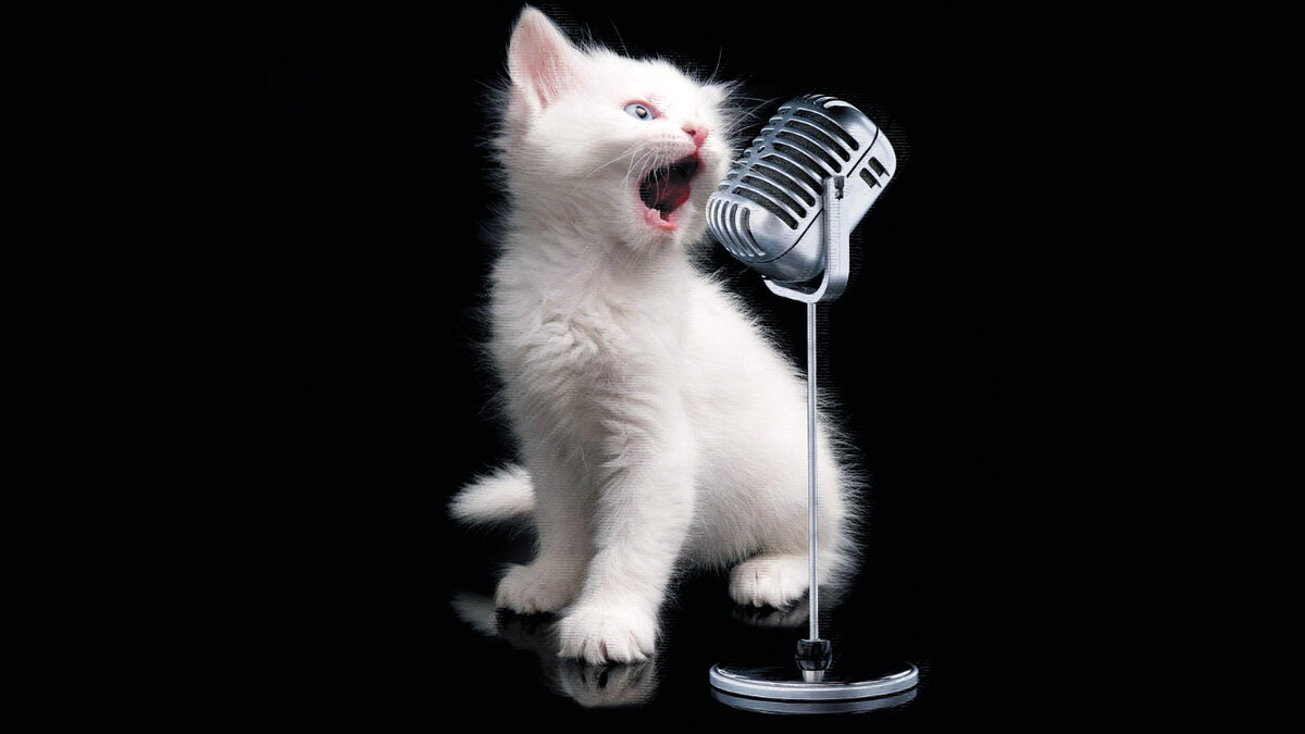 источник фото: pinimg.com