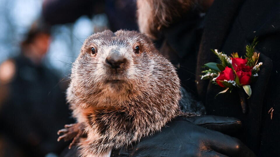 Фото: © REUTERS/Alan Freed