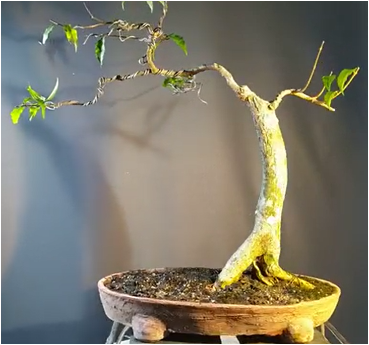 Источник: https://youtu.be/inkAmhm0_Yk