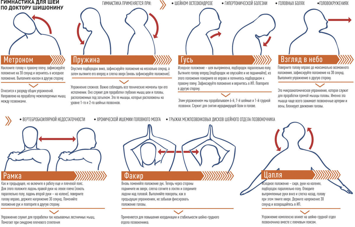 Гимнастика для шеи по шишонину