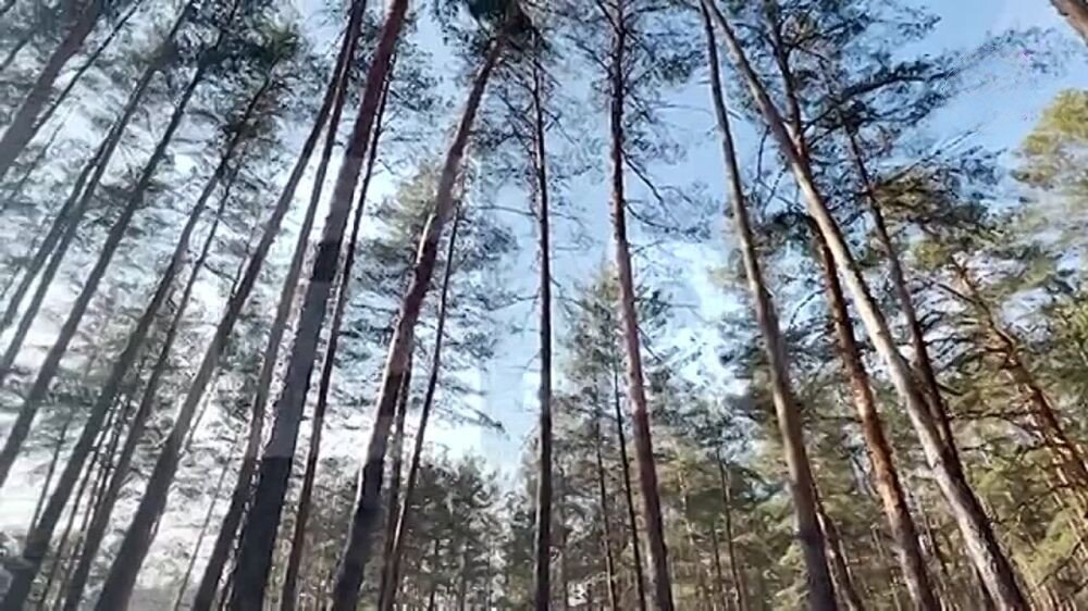 Фото из открытого источника Яндекс 