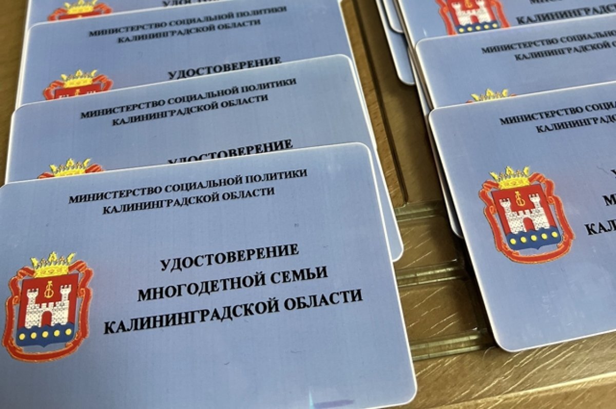    Многодетным родителям региона начали выдавать пластиковые удостоверения