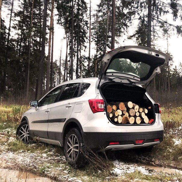 Источник изображения: Яндекс. Картинки