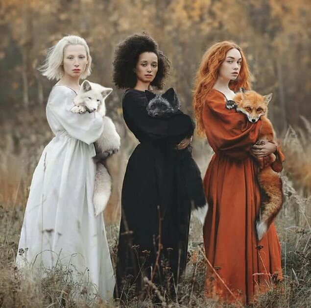 Ворота 17 Мнений