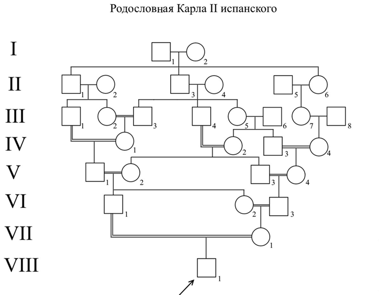 Древо медичи генеалогическое схема