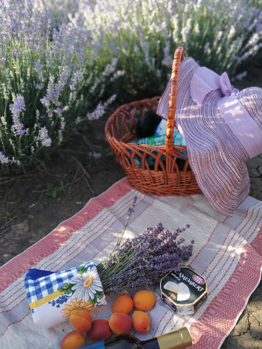 Лавандовый пикник