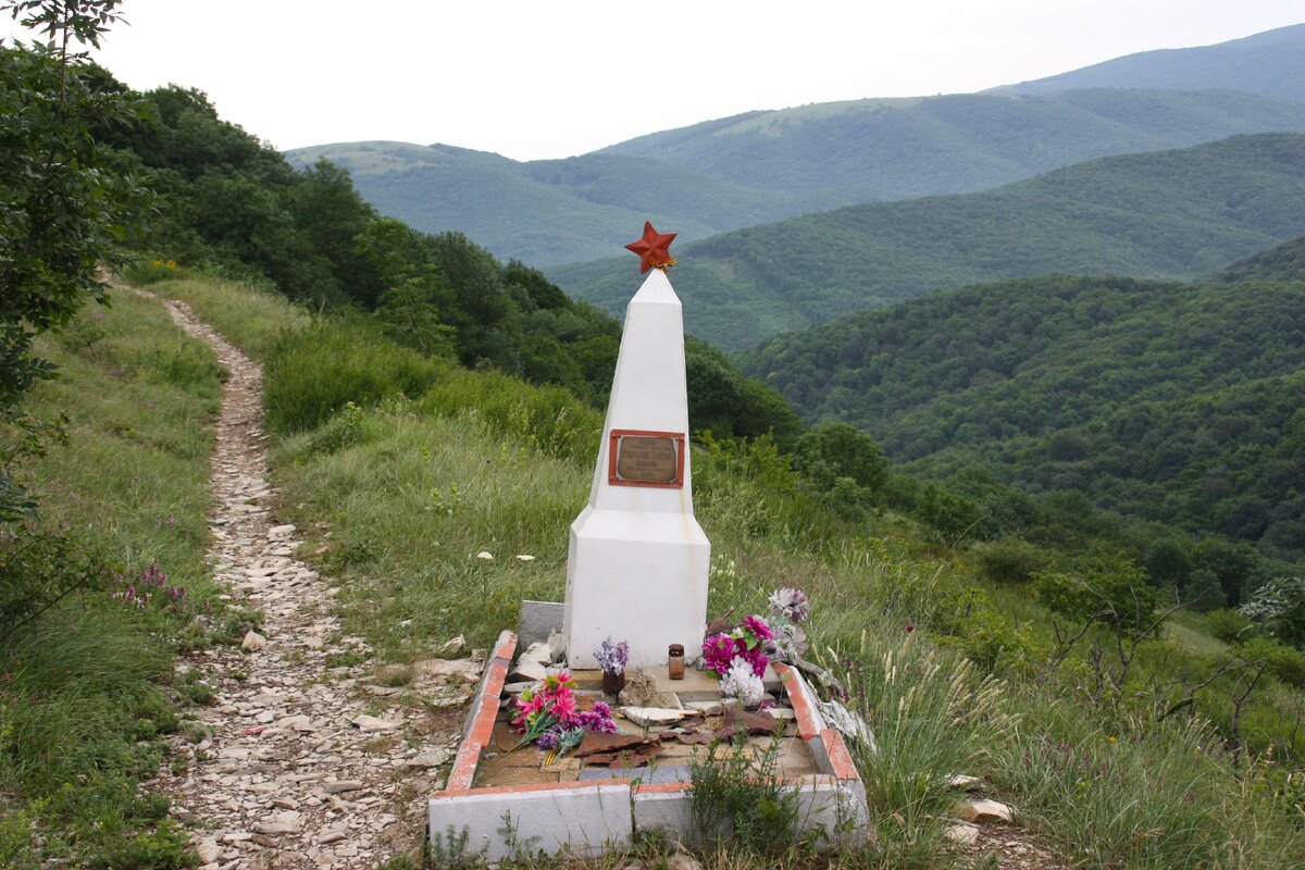 Гайдук новороссийск