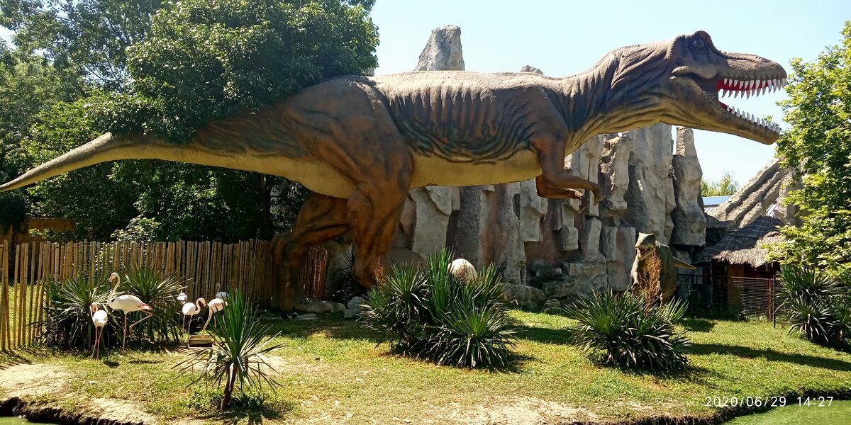 Вход в парк Юрского периода. У входа в парк вас ожидают фламинго, уточки и черепашки:)