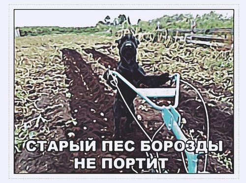  Автор изображения: Смешные Картинки.