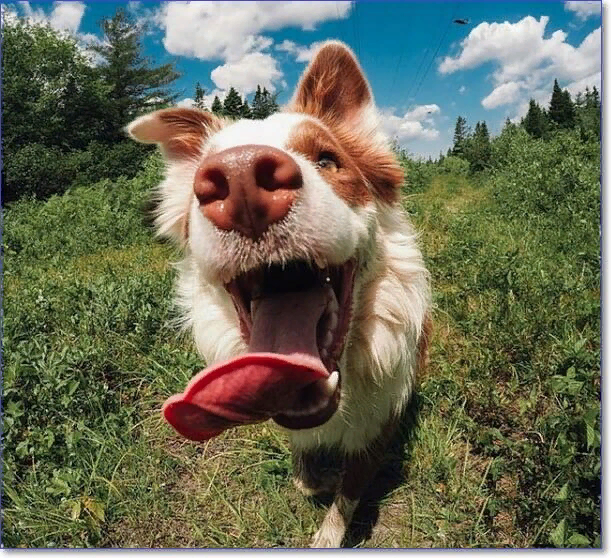 Фото из Яндекс.Картинки