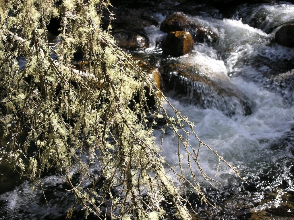 Киалимские кружева 