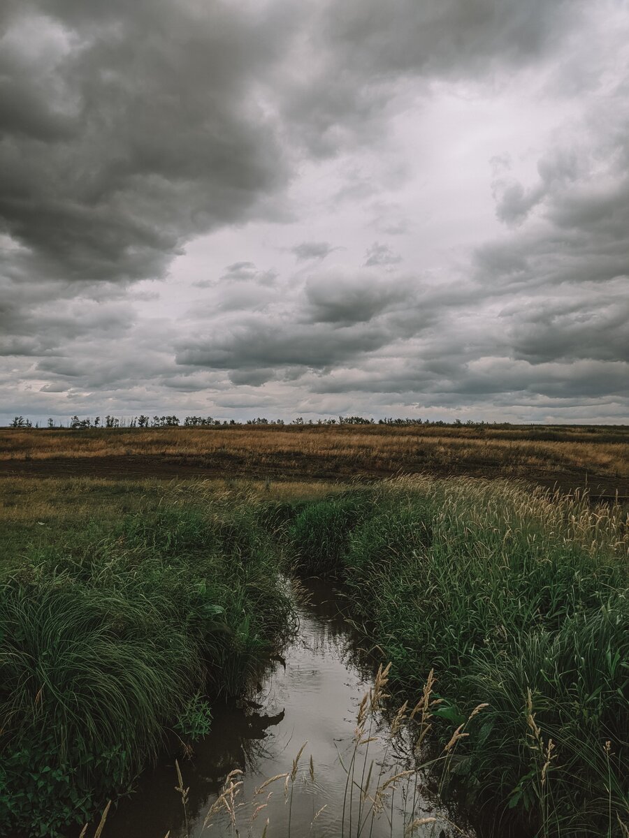 с. Александровка