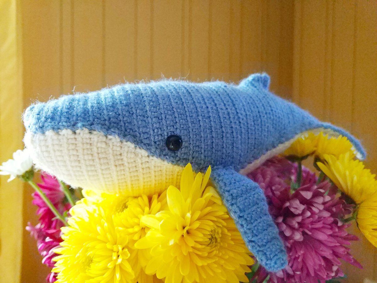 Мое хобби во время беременности