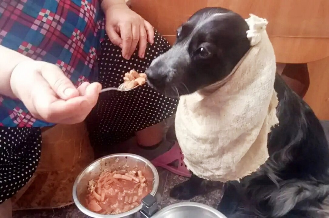 За маму, за папу и за бабушку. Вот она забота.... Фото взято с ресурса youtube.com