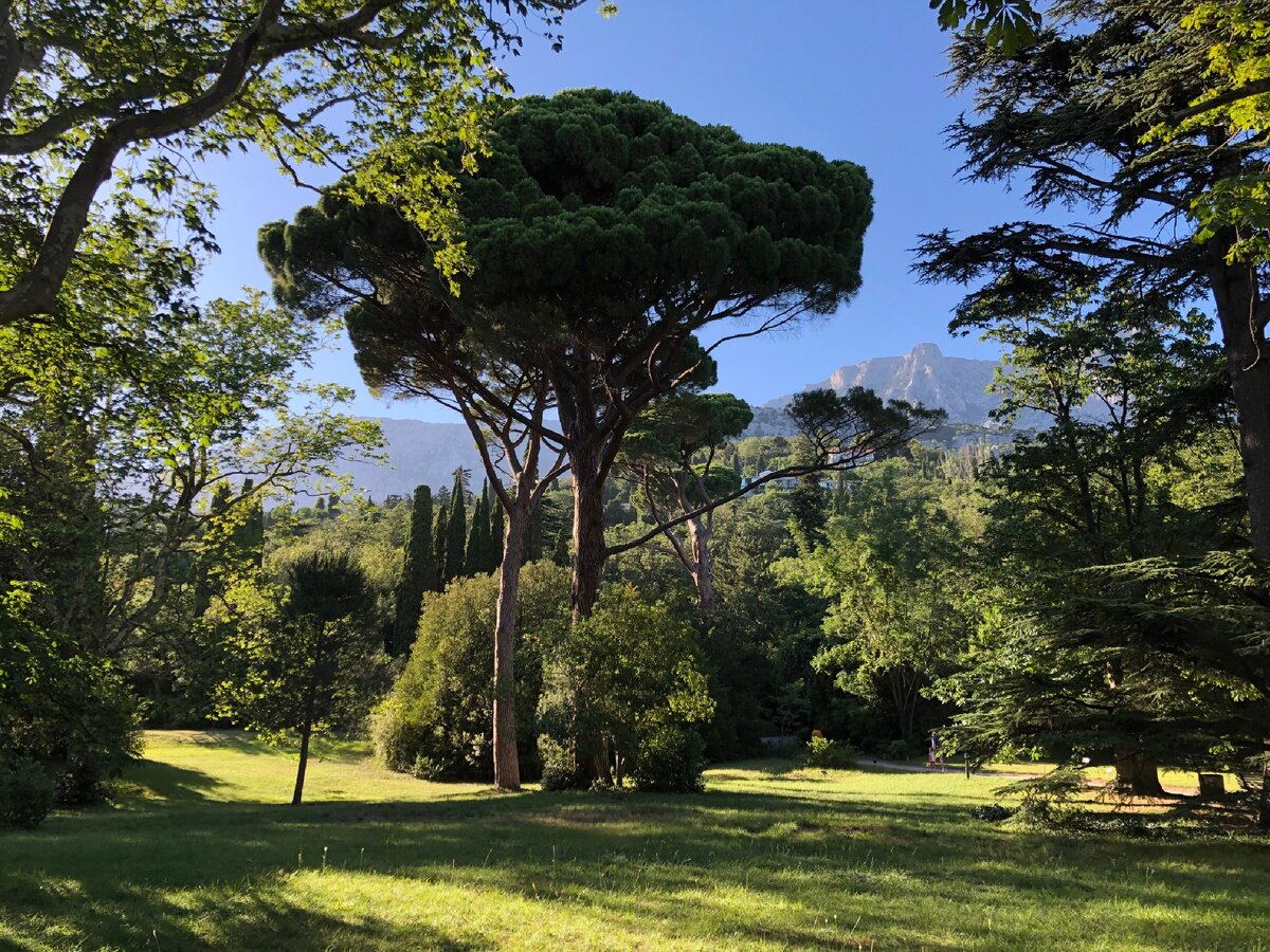 Неописуемая красота с видом на Ай Петри