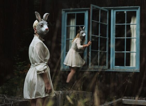 Фотография Alex Stoddard.