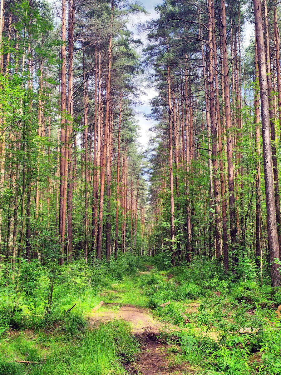 Новоорловский заказник фото