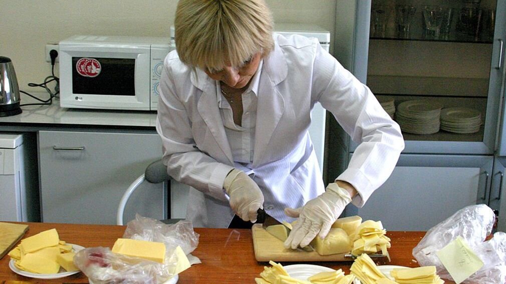 Экспертиза качества теста. Ветеринарно-санитарная экспертиза сыра. Экспертиза сыра. Экспертиза качества сыров. Контроль качества сыра.