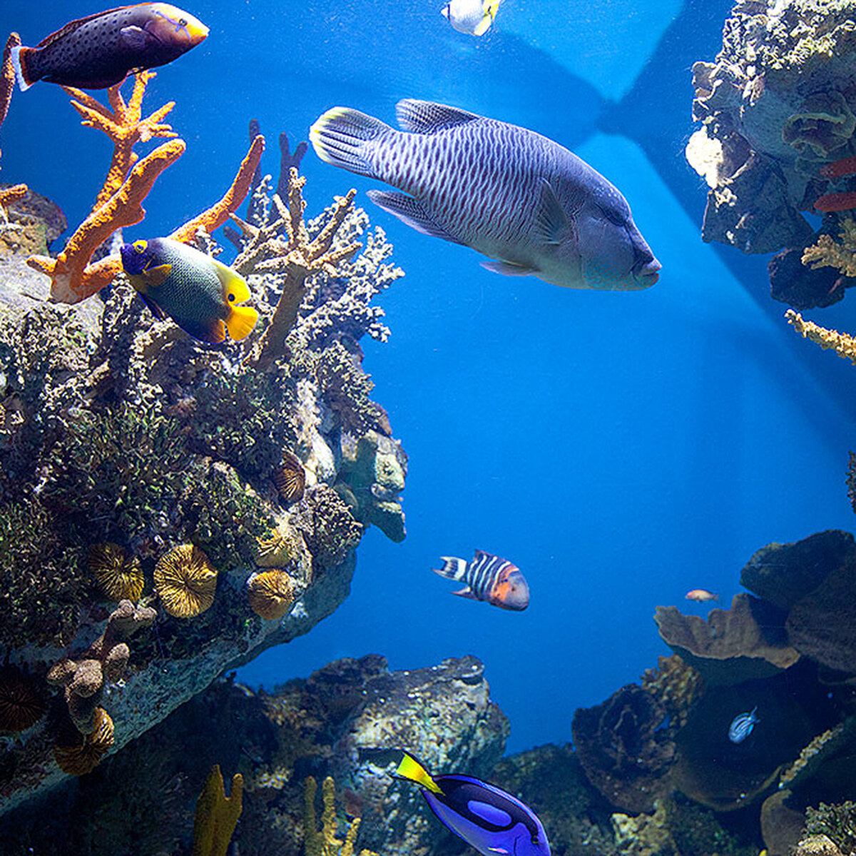Все права на размещённые здесь фотографии принадлежат мне.