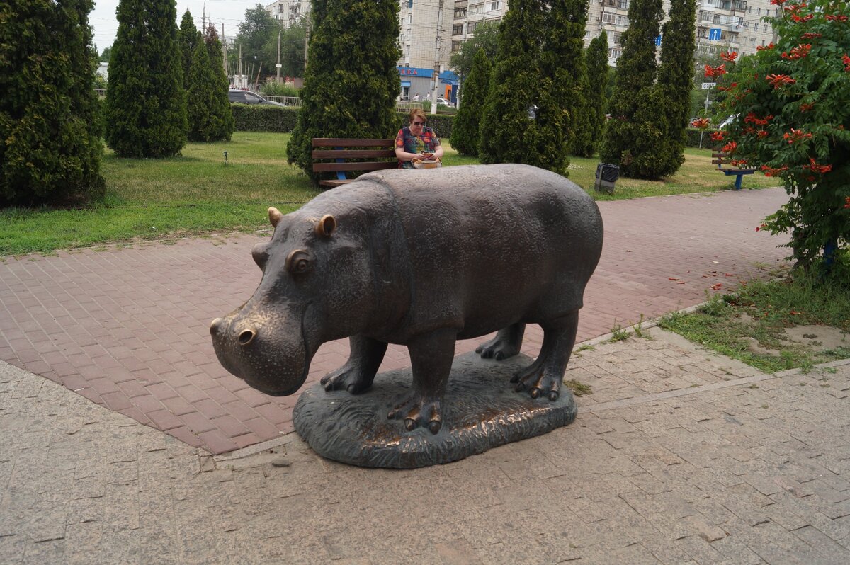 Бегемот ул пушкина 70 фото