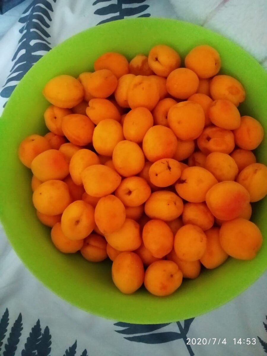 Во дворе и набрали.