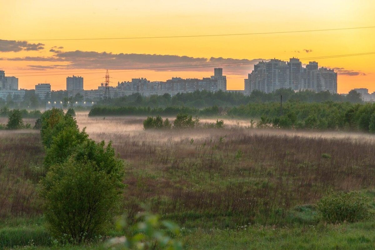 Район в Санкт-Петербурге