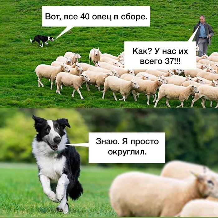 Математические песики