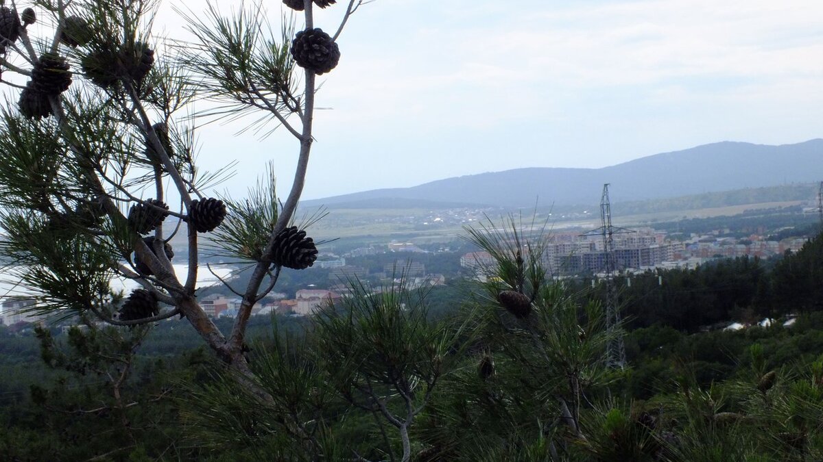 Геленджик 2017, вид с гор. Шикарно, правда?