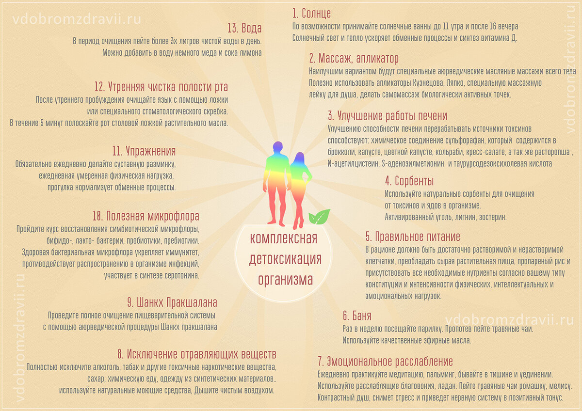 Инфографика. 13 составляющих комплексной детоксикации организма