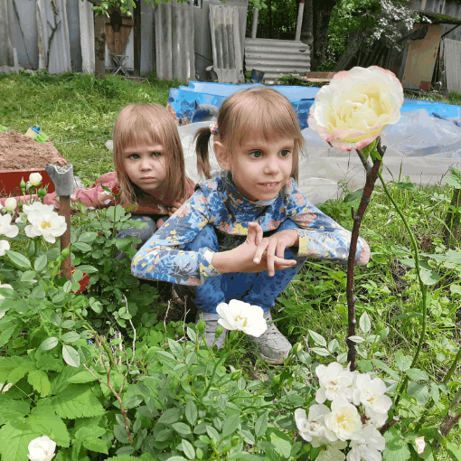 С розами