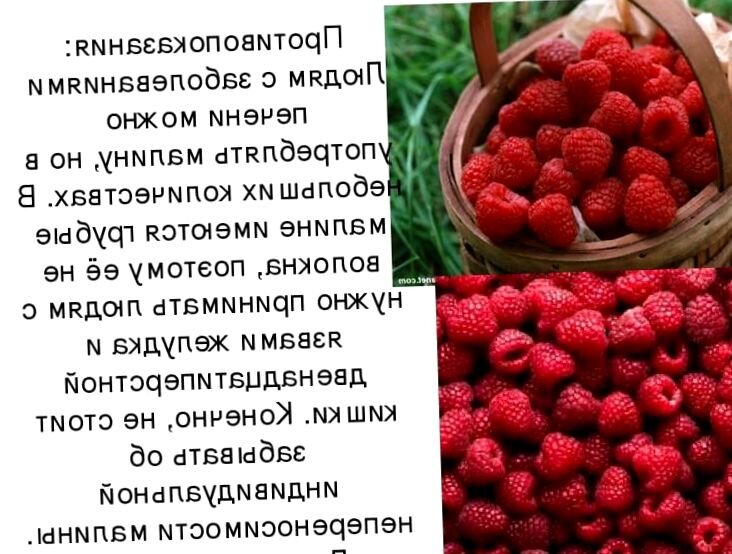 Взято из открытых источников