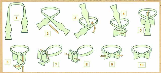Sartorial Education Infographics Madness Neck tie knots, Tie a necktie, Bow tie 