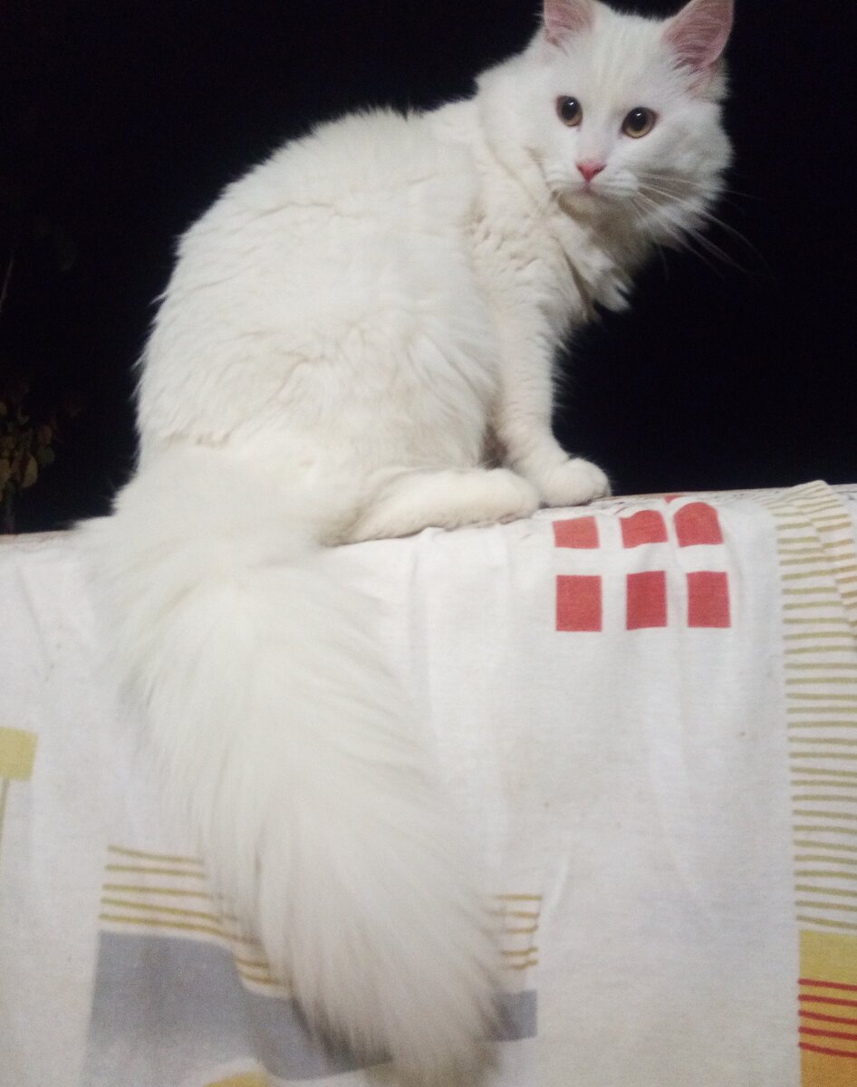 Пункт наблюдения Макса.