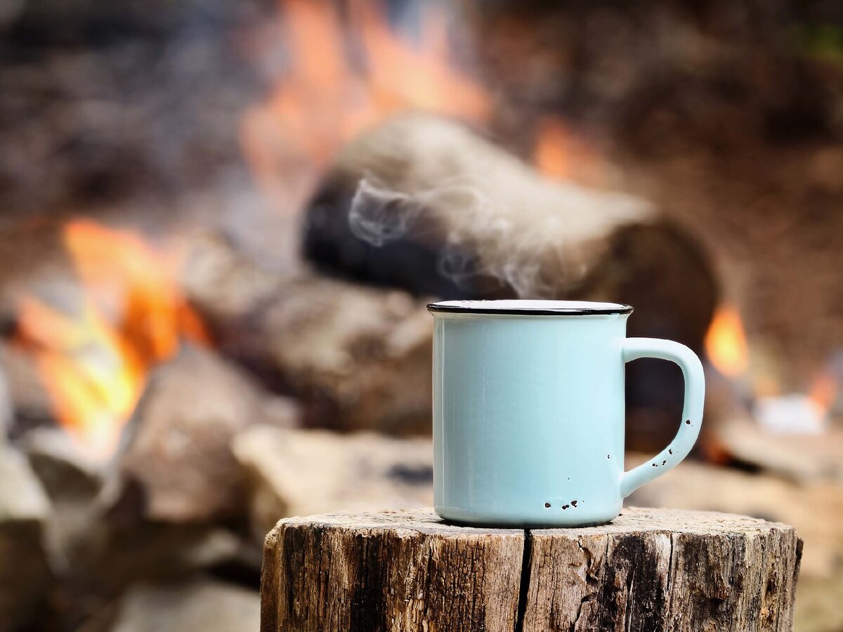 Фотография с ресурса ЯНДЕКС.КАРТИНКИ.