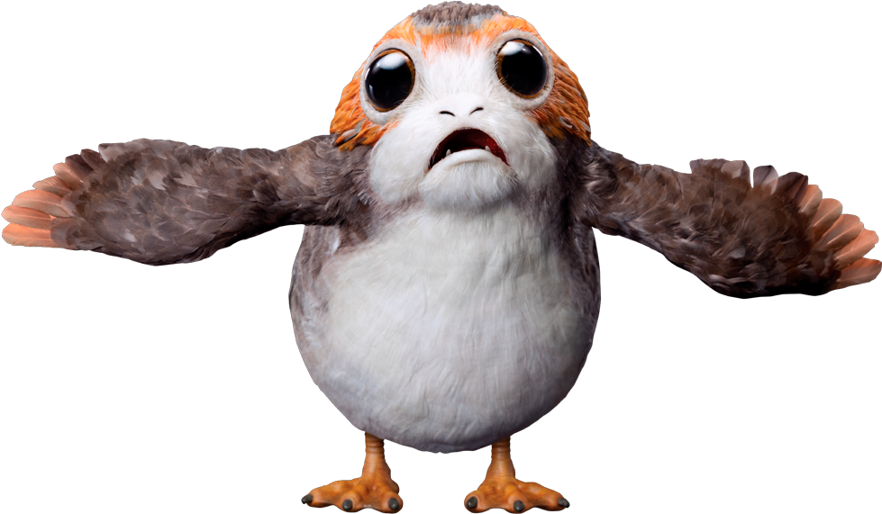 Порги (изображение взято из открытых источников)