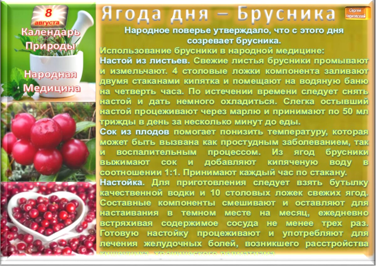 Во саду брусника рассказ. 9 Августа народный календарь. 8 Августа народный календарь. Календарь ягод. День брусники.