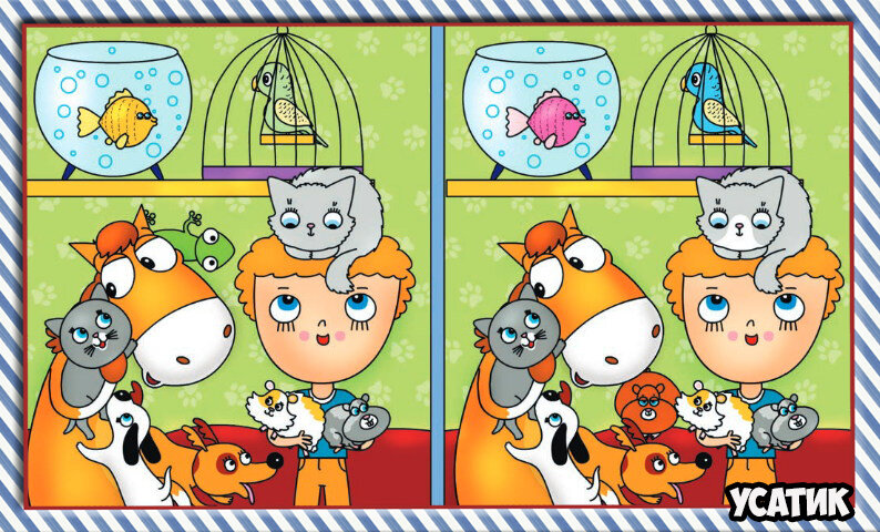 Источник: Яндекс картинки.