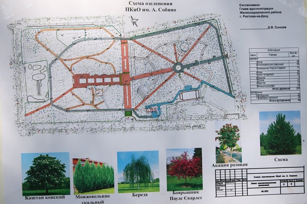 План парка гагарина саратов