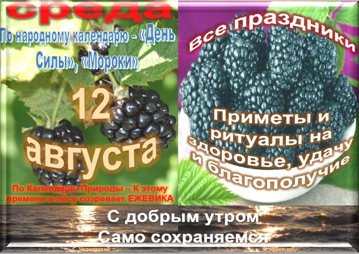 Встречаем новый день