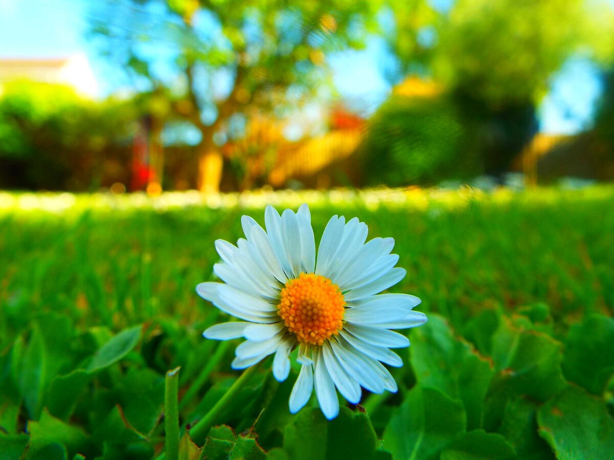 Фото автора man and his camera: Pexels