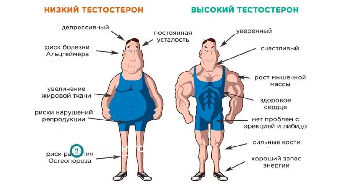 Что означает более высокий или более низкий уровень нормы