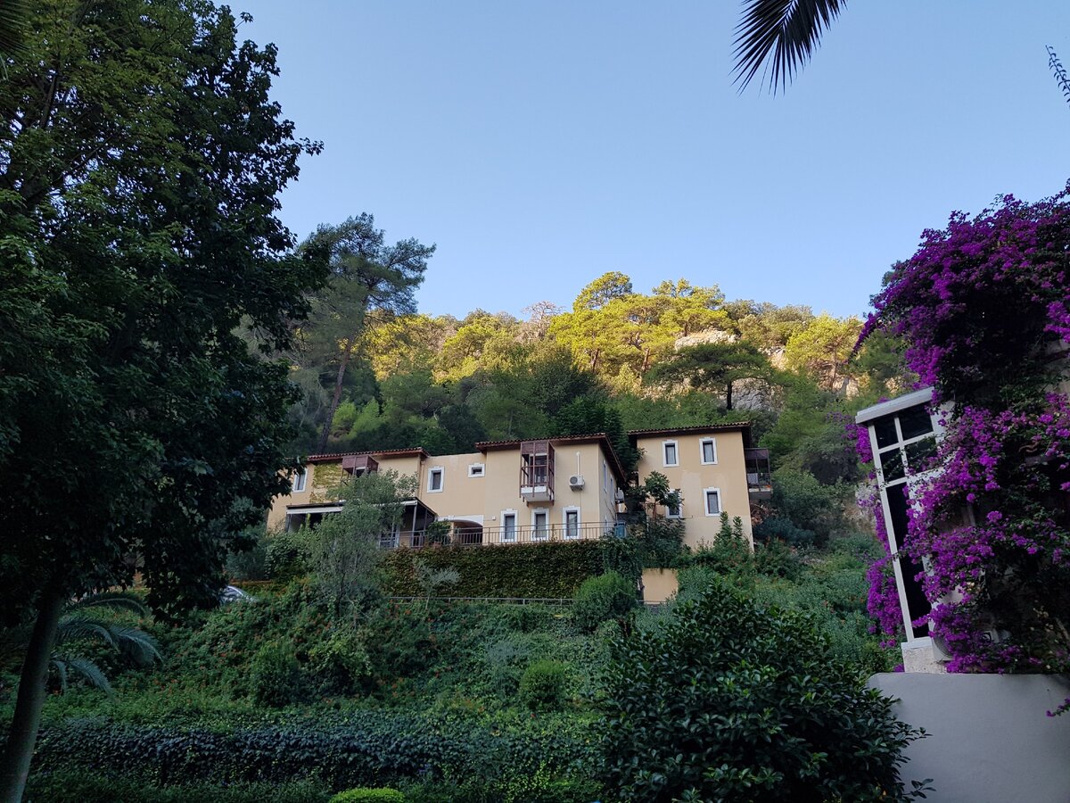 Фото автора.