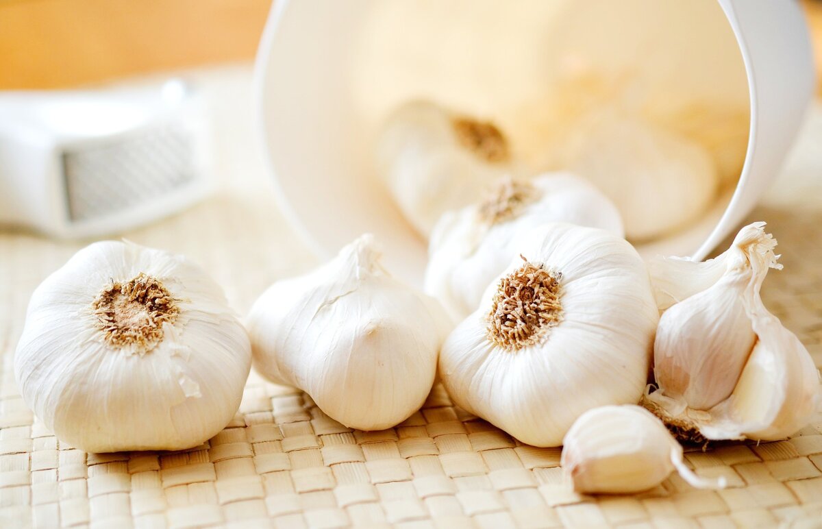 Ранняя посадка ярового чеснока — залог хорошего урожая.