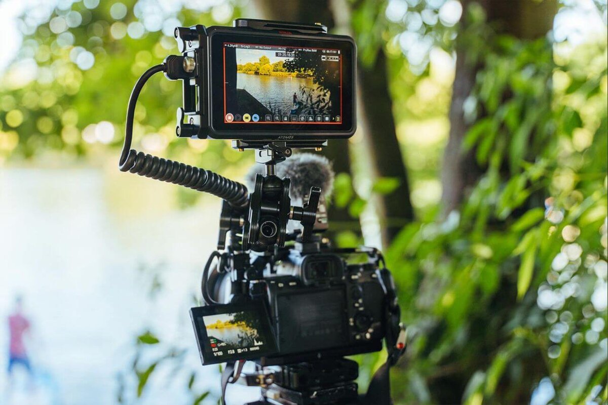 Источник: provideocoalition.com