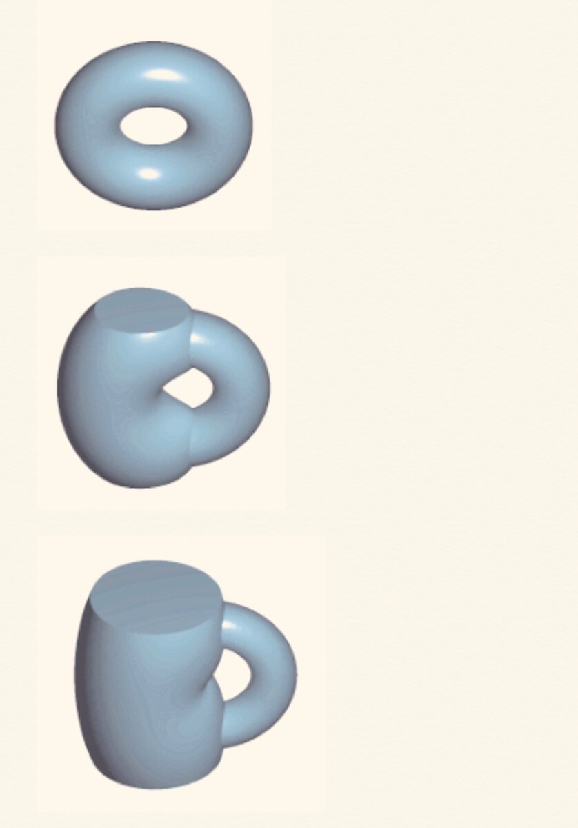 Тор свести к сфере не получится. Как ни изгаляйся над ним, дырка все равно никуда не денется. Но зато обычная кружка прекрасно превращается в тор, поэтому кружка гомеоморфна ему.