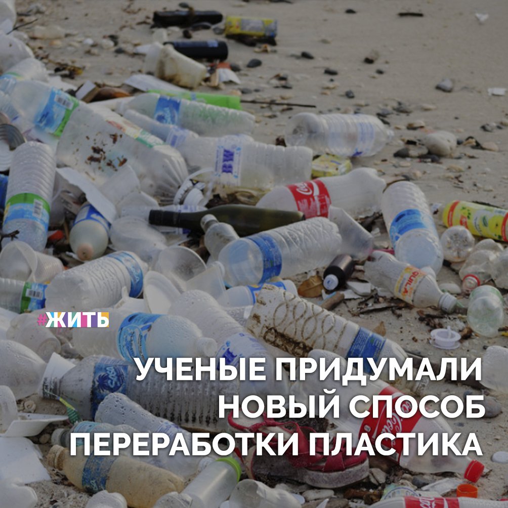Ученые придумали новый способ переработки пластика. Исследованный ими фермент способен разлагать пластик на 90%. Из получившегося материала снова можно изготовить качественный и дешёвый полиэтилентерефталат☝ 
В ходе исследования ученые проверили 100 тысяч различных ферментов, которые теоретически способны разлагать полиэтилентерефталат — пластик, из которого изготавливаются бутылки. Эффективнее всего справился фермент кутиназа, впервые обнаруженный японскими учеными в 2012 году в компосте листьев. Оптимизированная при помощи белковой инженерии кутиназа разложила 90% от тонны ПЭТ-пластика в течение 10 часов🤩

Это новый прорыв в науке и экологии! Ура!

#жить #проектжить #экология

