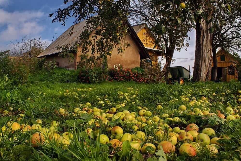 Источник фото: интернет