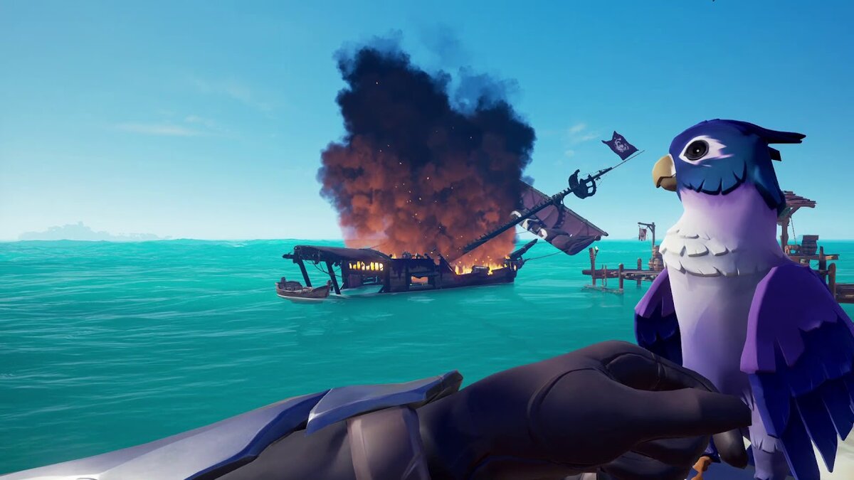 Сиа оф сивс. Игра про пиратов Sea of Thieves. Sea of Thieves попугай. Sea of Thieves кошки. Дюк Sea of Thieves.